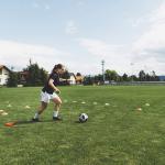 PE Artificial Turf  Grass Rug Premium Synthetic football Grass PP