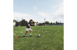 China PE Artificial Turf  Grass Rug Premium Synthetic football Grass PP supplier