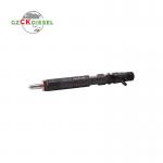 New Fuel Common Rail Injector EJBR02101Z 166003978R for Delphi Engine