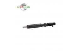 China New Fuel Common Rail Injector EJBR02101Z 166003978R for Delphi Engine supplier