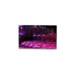 NEW 800*480 ZD050NA-01H 5.0 inch 67 pins FPC Touch LCD Screen Panel for sale