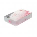 PET PVC PP UV Offset Printing Plastic Retail Boxes for sale