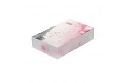 China PET PVC PP UV Offset Printing Plastic Retail Boxes supplier