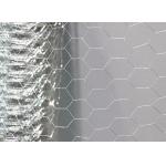 30 X 30mm Plaster Reinforcement Mesh 1.0mm Diameter Hexagonal Chicken Wire Mesh for sale