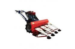 China hot sale paddy rice harvest machine with factory supplier