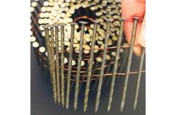 China Wire Collated Screw Ring Smooth Wood Pallet Coil Nail supplier