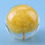 Custom clear epoxy real flower specimen acrylic dandelion paper weight