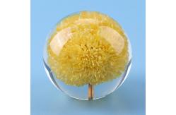 China Custom clear epoxy real flower specimen acrylic dandelion paper weight supplier