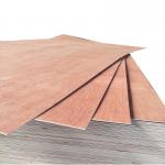1220*2440 poplar core or combine core or hardwood core MR WBP glue plywood film faced plywood blockboard veneer plywood for sale