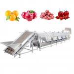 Automatic Mango Washing Waxing Grading Machine For Fruit Processing for sale
