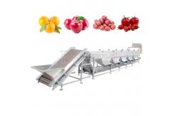 China Automatic Mango Washing Waxing Grading Machine For Fruit Processing supplier