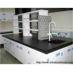 Professional Supply Wall Mount Bench With PP Material For Physical Scientist