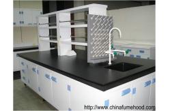 China Professional Supply Wall Mount Bench With PP Material For Physical Scientist supplier