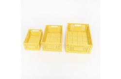 China Multiscene OEM Foldable Plastic Basket , Leakproof Collapsible Plastic Storage Bins supplier