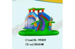 China Aldult  Outdoor Rental Inflatable Large Water Slides With Bouncy supplier