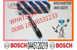 China Common Rail Injector 0445120219 0445120100 0445120275 51101006127 for Man Truck supplier