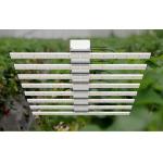 Adjustable Bar LED Herb Grow Light 550W Power Aluminum Material CE Compliant for sale