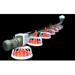 Hens Poultry Pipe Automatic Pan Feeding System