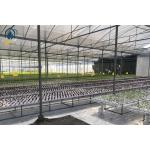 Plastic NFT Hydroponic Growing System PVC Gully For Greenhouse Planting