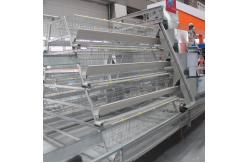 China Chicken Farm Hot Dipped Galvanized Chicken Poultry Cage A Frame supplier