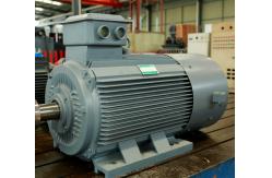 China 5-2000kw Fuelless Neodymium Magnet Generator for Hydro Turbine supplier