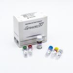 SGS Approval PCR Self Test Kit for sale