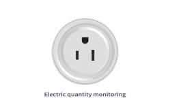 China 2000W WIFI Smart Socket 200g 120*60*40mm Mini Smart Wifi Socket supplier