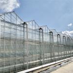 Chinese Agriculture Tempered Glass Greenhouse Venlo Type Galvanized Commercial for sale