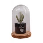 ODM Dampproof Mini Glass Bottle Corks Glass Base Dome 2.5*2.2IN Groove Line for sale