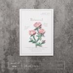 DIY Your Fashion Story | Rose Iron-On Patches | Custom Designs & Quick Fix & Gift-Ready Charm for sale