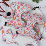 XS Dog Harness And Leash Set Sublimation Decoration Scarf Cat Harness Set for sale
