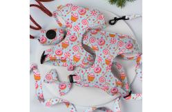 China Comfortable Yellow Leash Collar Harness Set Neoprene Puppy Collar And Lead Set supplier