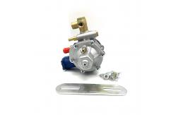China Sequential Fuel Injection Standard CNG Pressure Reducer Regulator Aluminium Body supplier