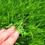 10mm Height Plastic Synthetic Turf Carpet Lawn Artificial Grass Landscape for sale