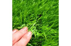 China SGS Approved Plastic 9000 Dtex Artificial Turf Grass Eco-Friendly supplier