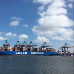 20GP/40GP/40HQ/40RH/45HQ Container International Shipping Service FCL LCL Options for sale