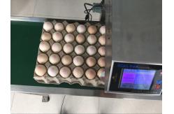 China Cycle Move Nozzle And Entire Tray Egg Printing Machine For Big Coder supplier