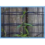 Eco Mesh Modular Plant Trellis System / Green Wall Wire Trellis System 50x50mm