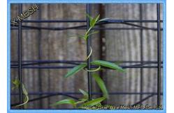 China Eco Mesh Modular Plant Trellis System / Green Wall Wire Trellis System 50x50mm supplier