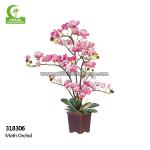 Anti Fading 65cm Artificial Moth Orchid In Various Colors for sale