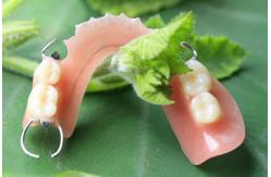 China Partial Removable Acrylic Partial Denture supplier