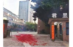 China Roller Skating Protective Gear manufacturer