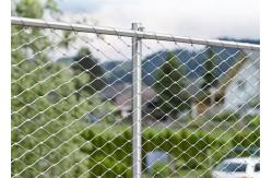 China 316 Ferrule Zoo Wire Mesh Aviary Bird Parrot Netting Mesh supplier