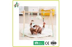 China 24.8 Inch Washable Baby Play Mat CE BSCI certification with hanging toys supplier