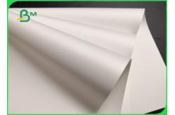 China 200um PET Film Synthetic Paper For Laser Printer High Density Tear Resistant supplier