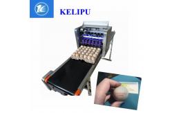 China 12V 4A Eggs Continuous Inkjet Printer , High Speed Inkjet Date Code Printer  supplier