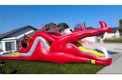China Dragon Water slide supplier