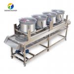 Silvery Personalization Passion Fruit And Vegetable Processing Line Fruit Cleansing Drying