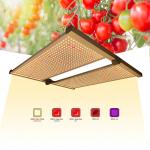 480w Dimmable Quantum Board UV IR 3x3 4x4 LED Grow Light with Timer for sale