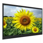 Interactive Boards for Schools Conference 65 Inch Smart Interactive Board Whiteboard Android Windows System Interactive Flat Panel Display for sale